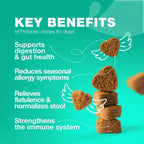 Probiotics For Dogs Gut Health Digestion Immunity Yeast Bala | Other