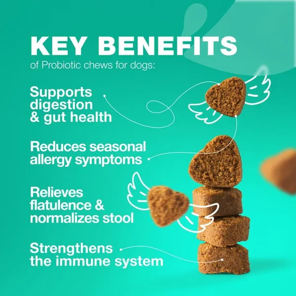 Probiotics For Dogs Gut Health Digestion Immunity Yeast Bala | Other