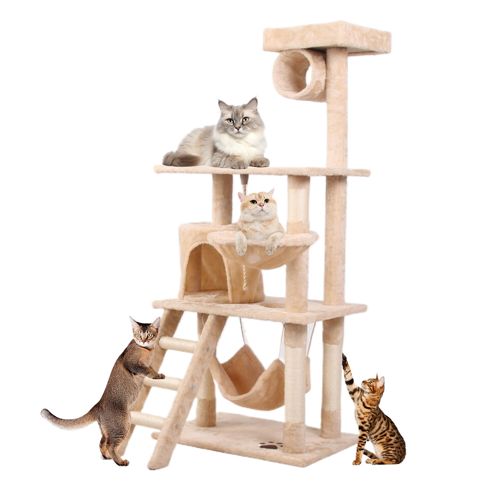 Cat Climbing Frame | Other