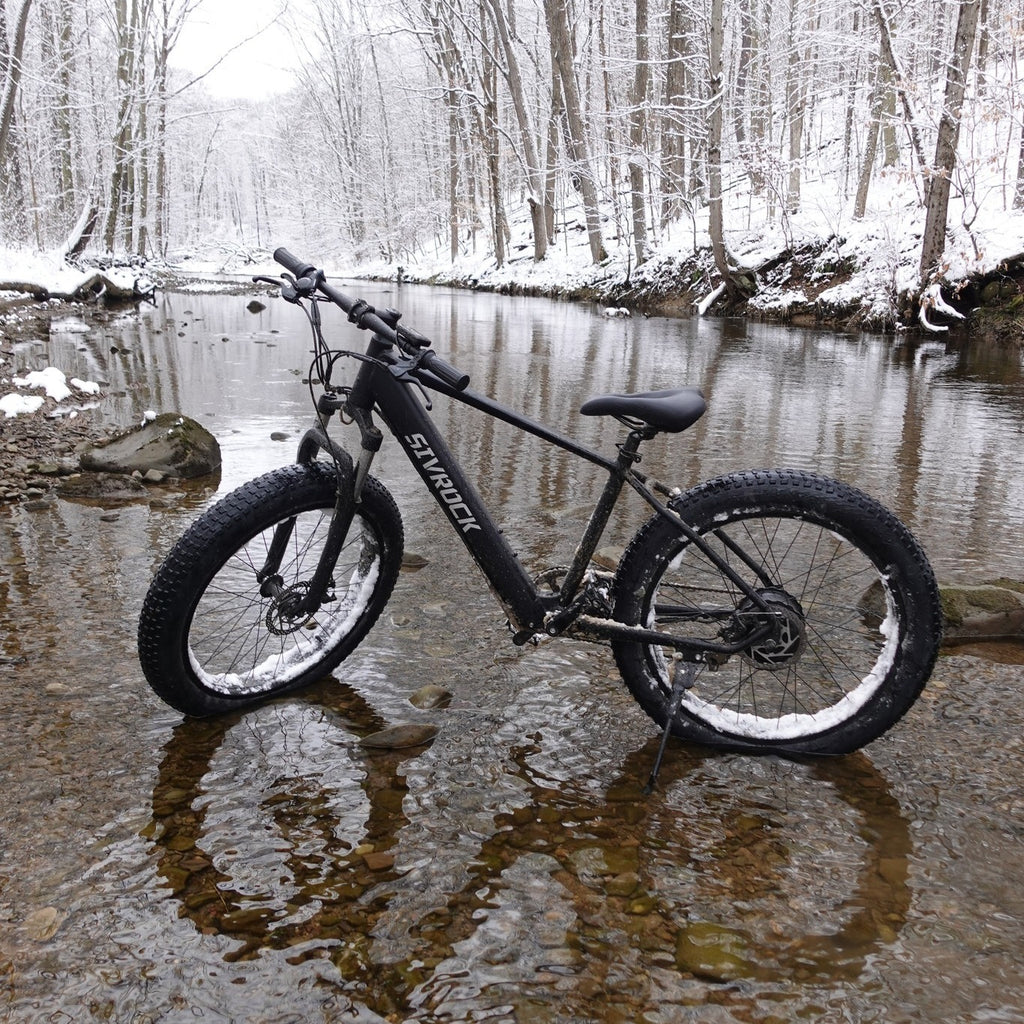 Professional Electric Bike For Adults, 26 X 4.0 Inches Fat T | Other