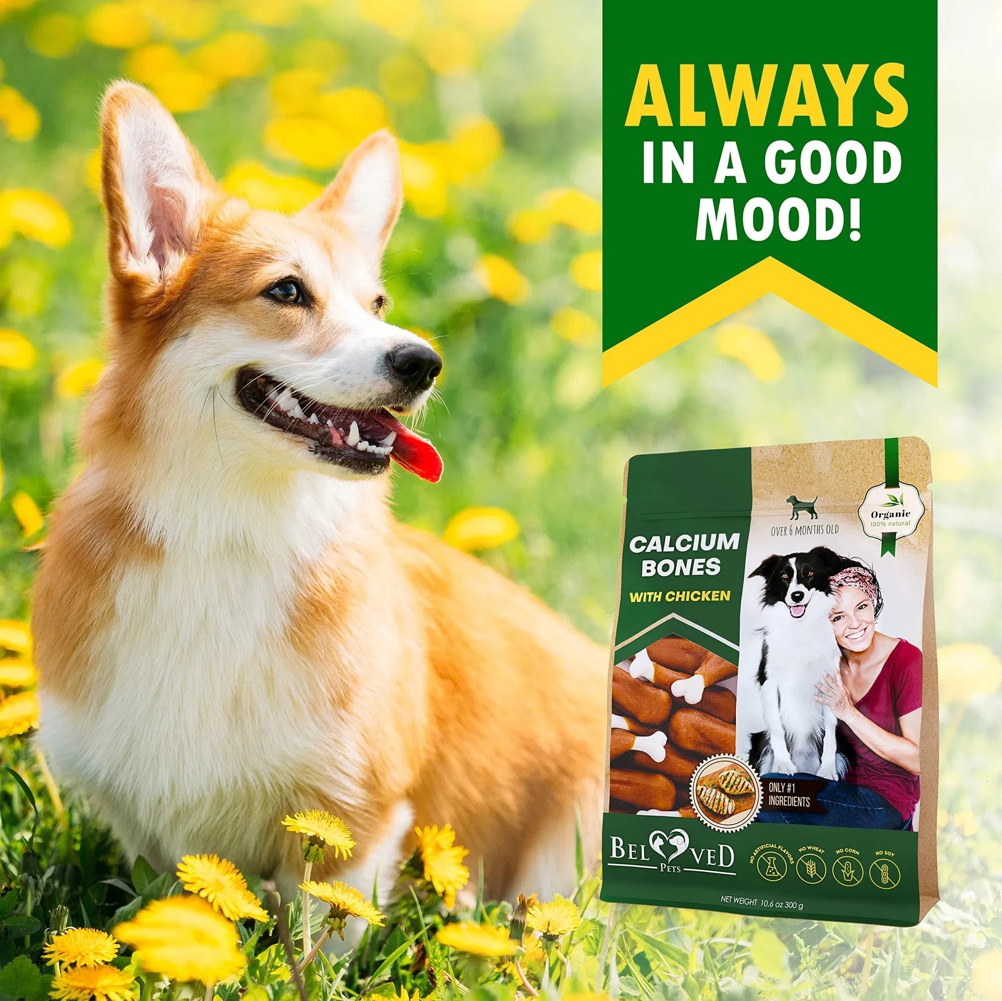 Dog Calcium Bones Wrapped Chicken & Rawhide Free Chew Treats | Other