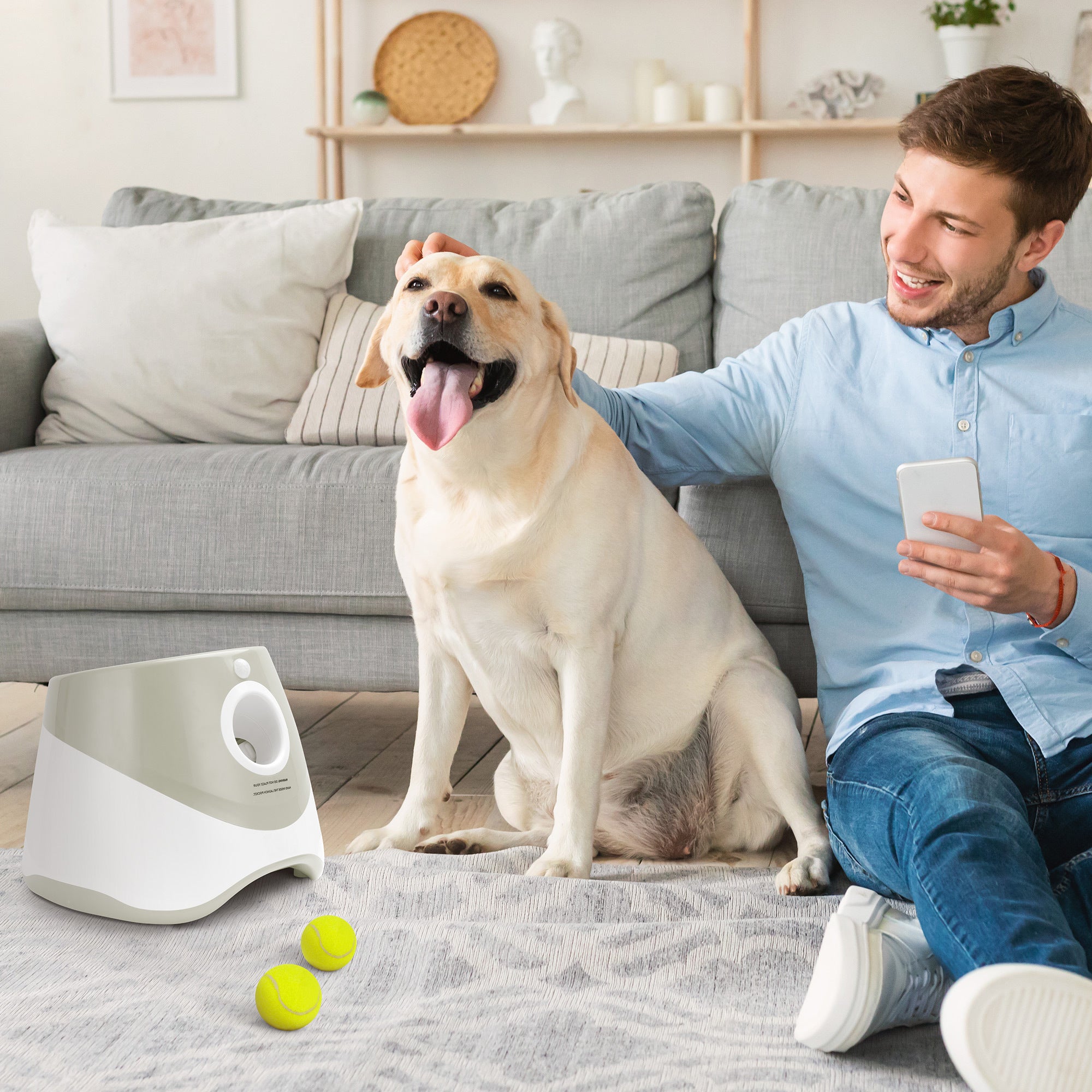 Only Supports Self Pickup Automatic Dog Ball Launcher, Indo | Other
