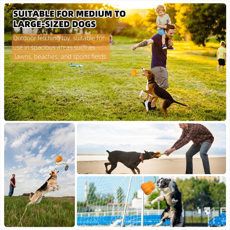 Prokel Dog Rope Fetch Exercise Toyformedium Large Aggressiv | Electronic Learning Toys