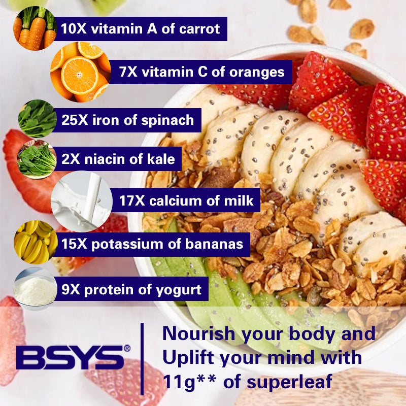 Bsys Moringa Capsules Antioxidant & Anti-inflammatory Suppo | Jewelry & Accessories