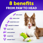 Dog Multivitamin Chewable With Glucosamine 20 In 1 Dog Vitam | Other