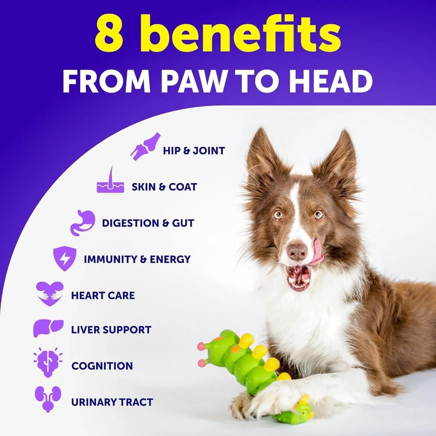 Dog Multivitamin Chewable With Glucosamine 20 In 1 Dog Vitam | Other