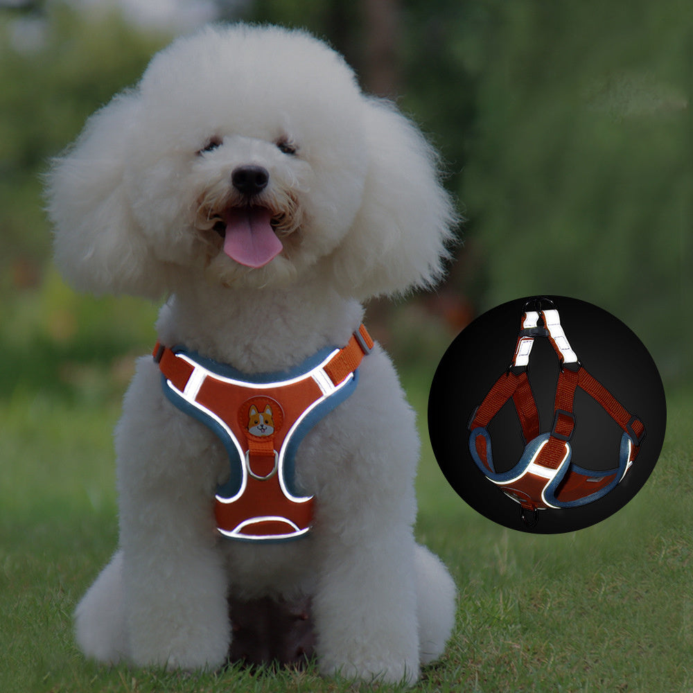 Dog Leash And Harness Set Pet Dog Harness And Leash Set | Other