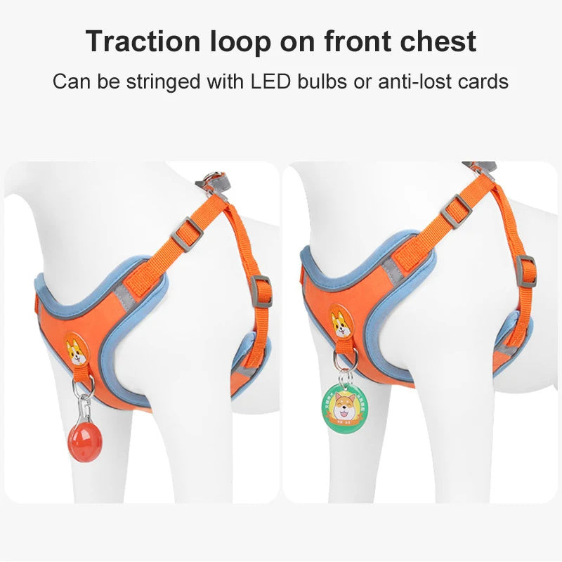 Dog Leash And Harness Set Pet Dog Harness And Leash Set | Other