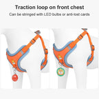 Dog Leash And Harness Set Pet Dog Harness And Leash Set | Other