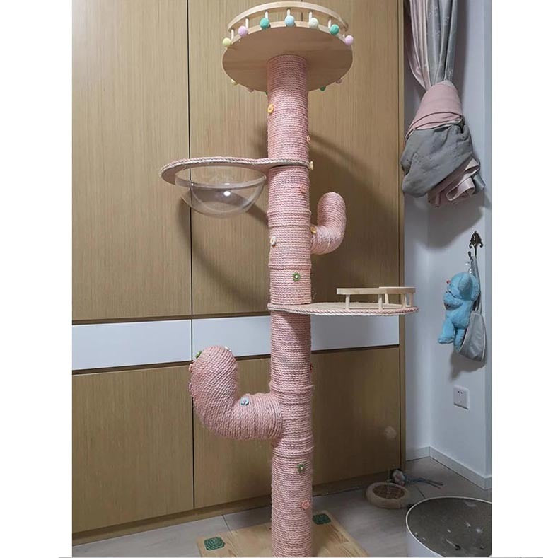 Cactus Cat Climbing Frame Self-made Diy Complete Material Pa | Other