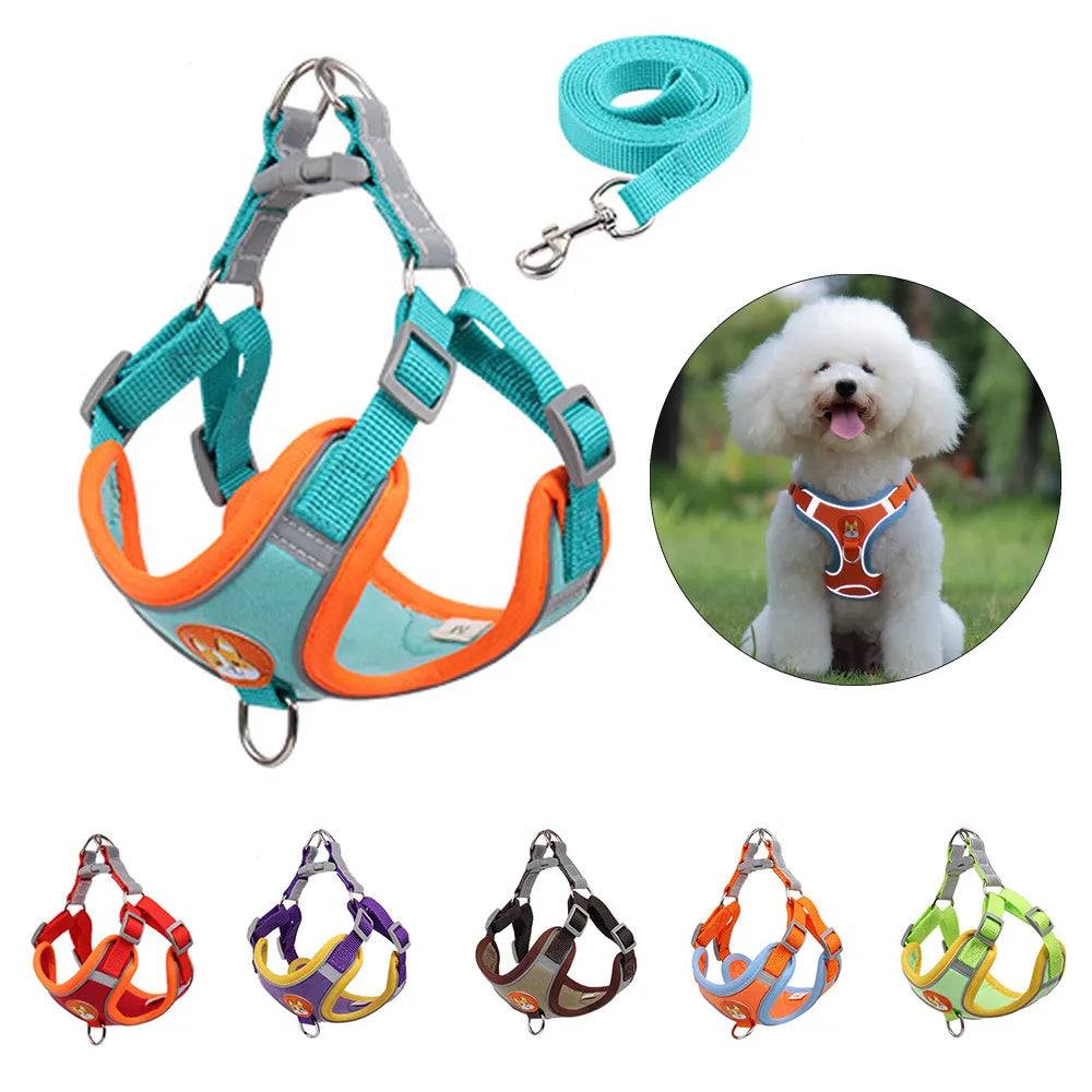Dog Leash And Harness Set Pet Dog Harness And Leash Set | Other