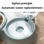Pet Dog Cat Bowl Fountain Automatic Food Water Feeder Contai | Other