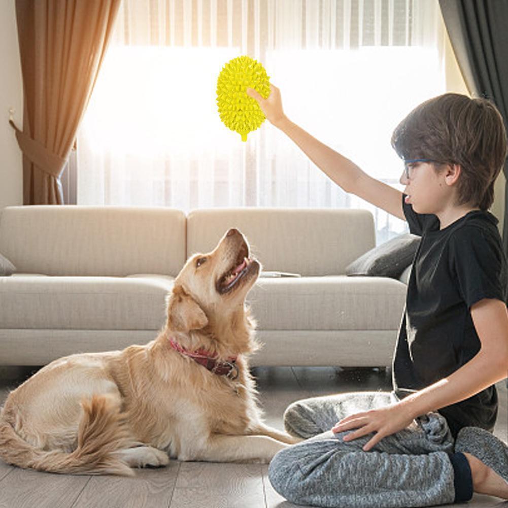 Dog Toy Durian Chew Glue Ball Pet Chewing Toy Dog Tooth Grin | Electronic Learning Toys
