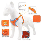 Dog Leash And Harness Set Pet Dog Harness And Leash Set | Other