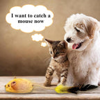 Interactive Cat Toy Mouse With Led Lights Forindoor Cats Usb | Electronic Learning Toys