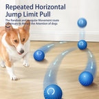 Interactive Bouncing Ball For Dogs,automatic Smart Toy, Self | Electronic Learning Toys