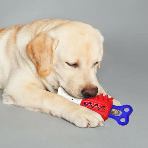 Floatable Pet Dog Cleaning Teeth Chew Toy Cooling Thirst Que | Electronic Learning Toys