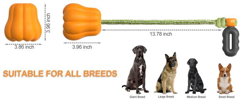 Prokel Dog Rope Fetch Exercise Toyformedium Large Aggressiv | Electronic Learning Toys