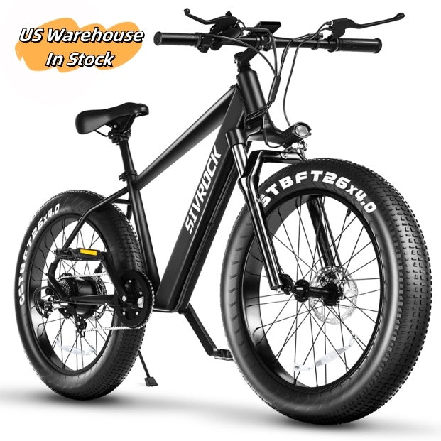 Professional Electric Bike For Adults, 26 X 4.0 Inches Fat T | Other