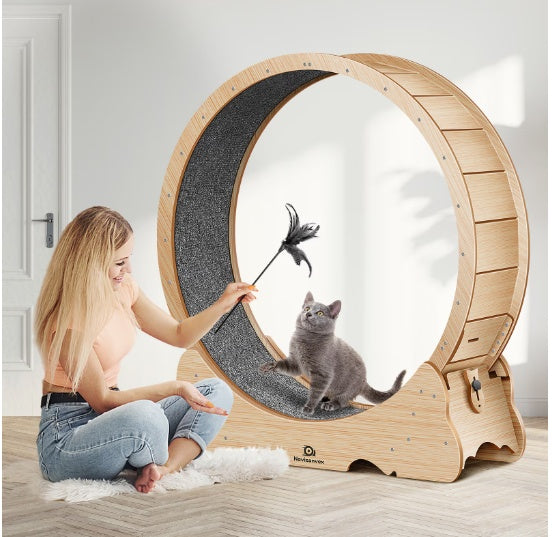 Cat Exercise Treadmill With Carpeted Runway | Other