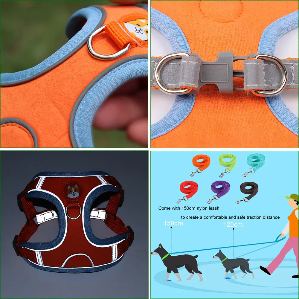 Dog Leash And Harness Set Pet Dog Harness And Leash Set | Other