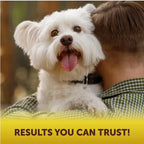Scoot Stopper Soft Chews Fiber For Dogs Dog Anal Gland And D | Other
