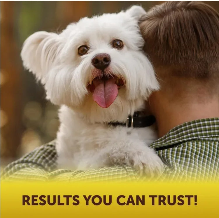 Scoot Stopper Soft Chews Fiber For Dogs Dog Anal Gland And D | Other