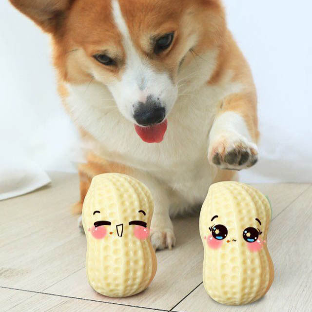 Funny Pet Dog Squeaky Toy For Small Middle Dogs Bite Resista | Electronic Learning Toys