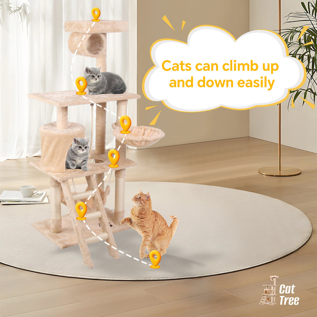 Cat Climbing Frame | Other