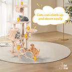 Cat Climbing Frame | Other