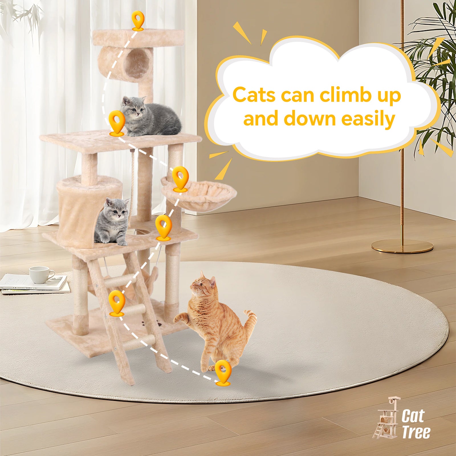 Cat Climbing Frame | Other