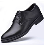 Black Shoes With Pointed Toe For Men | Shoes