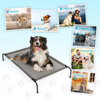 Pet Beds | Other