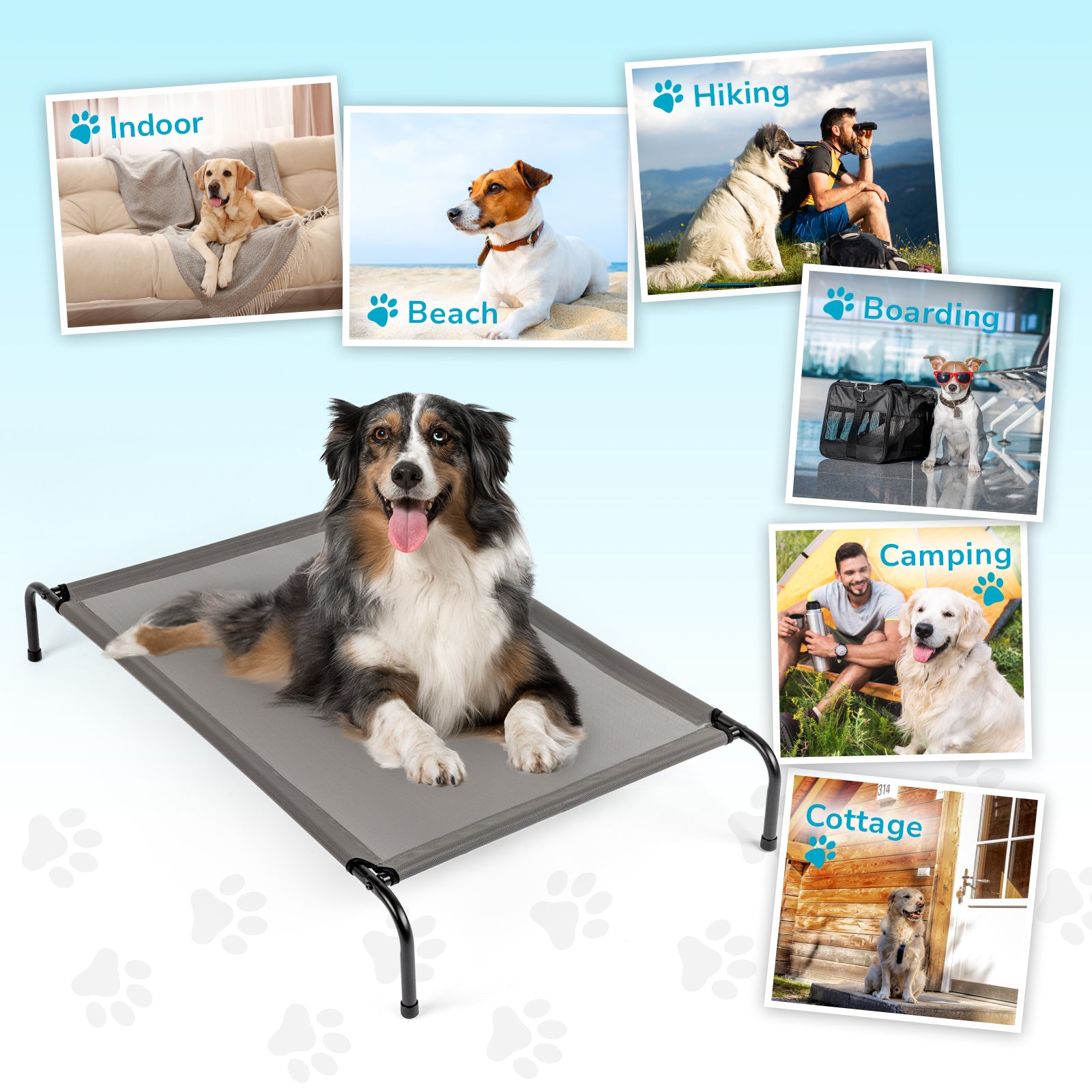 Pet Beds | Other