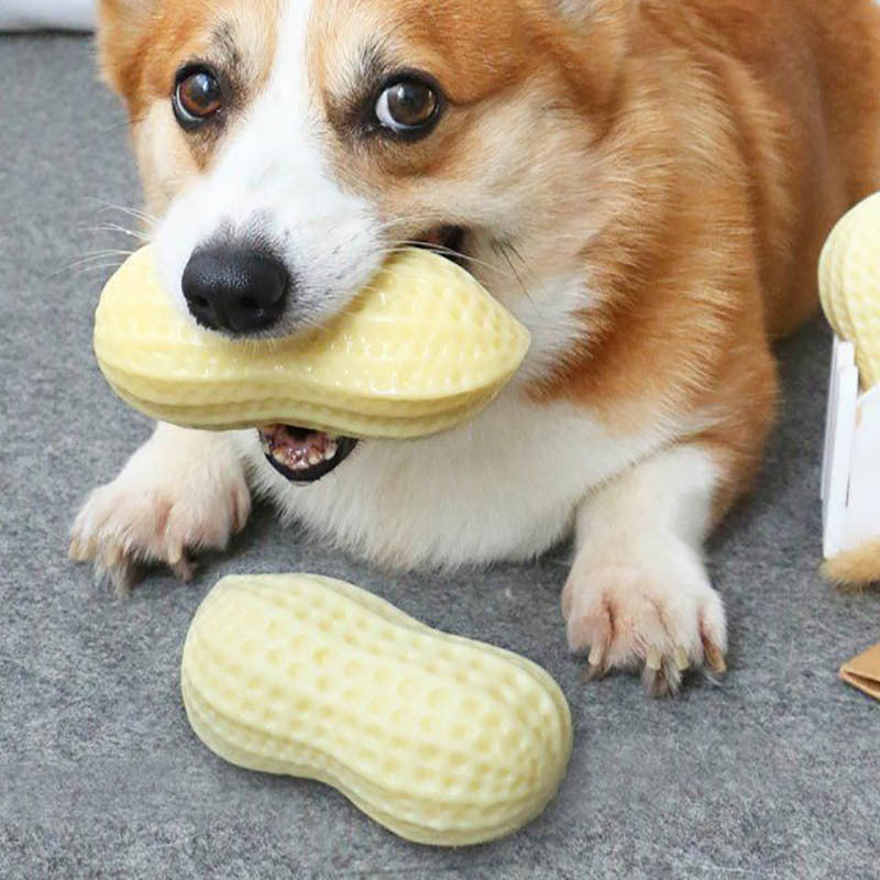 Funny Pet Dog Squeaky Toy For Small Middle Dogs Bite Resista | Electronic Learning Toys