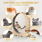 Cat Exercise Treadmill With Carpeted Runway | Other