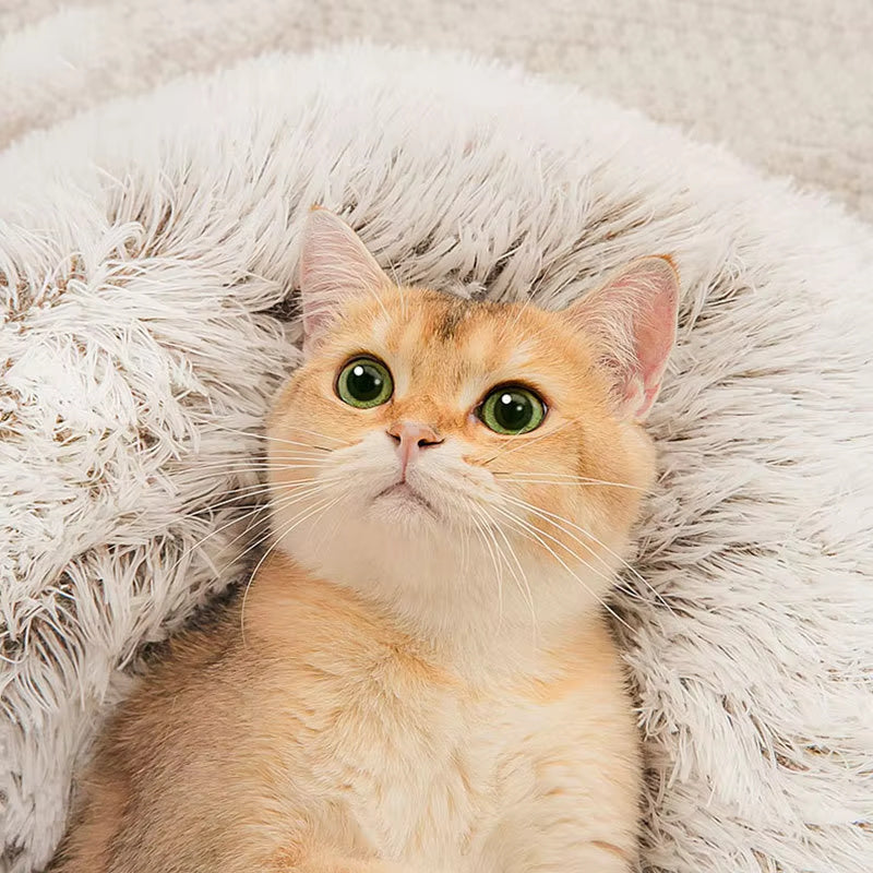 Winter Long Plush Pet Cat Bed Round Cat Cushion Cat Hous | Other