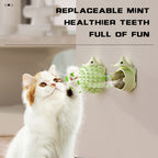 Cat Grooming Brush Wall Mount, Cat Self Groomer Cat Corner F | Other