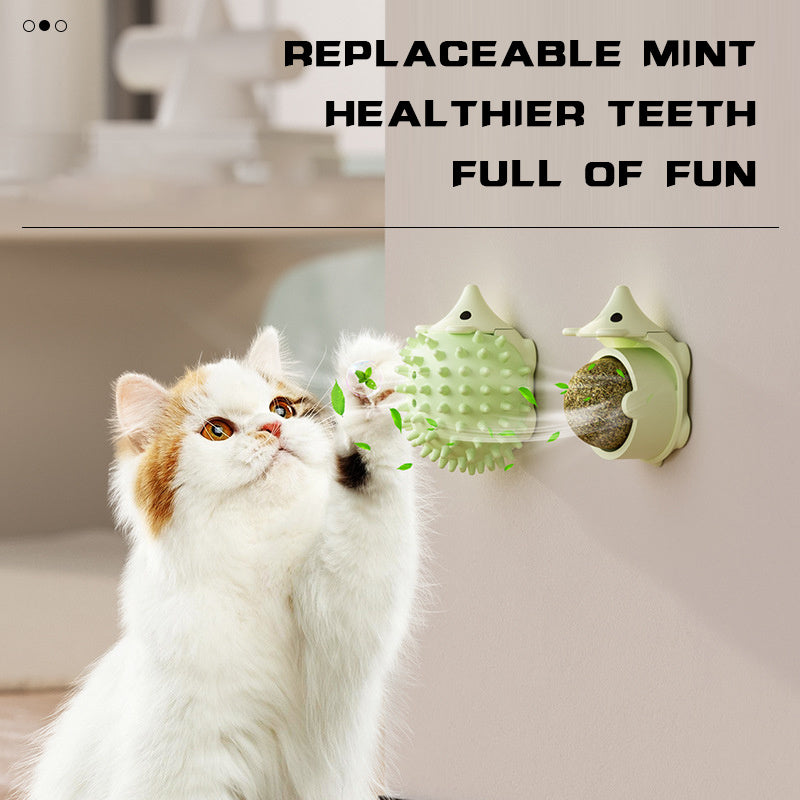 Cat Grooming Brush Wall Mount, Cat Self Groomer Cat Corner F | Other