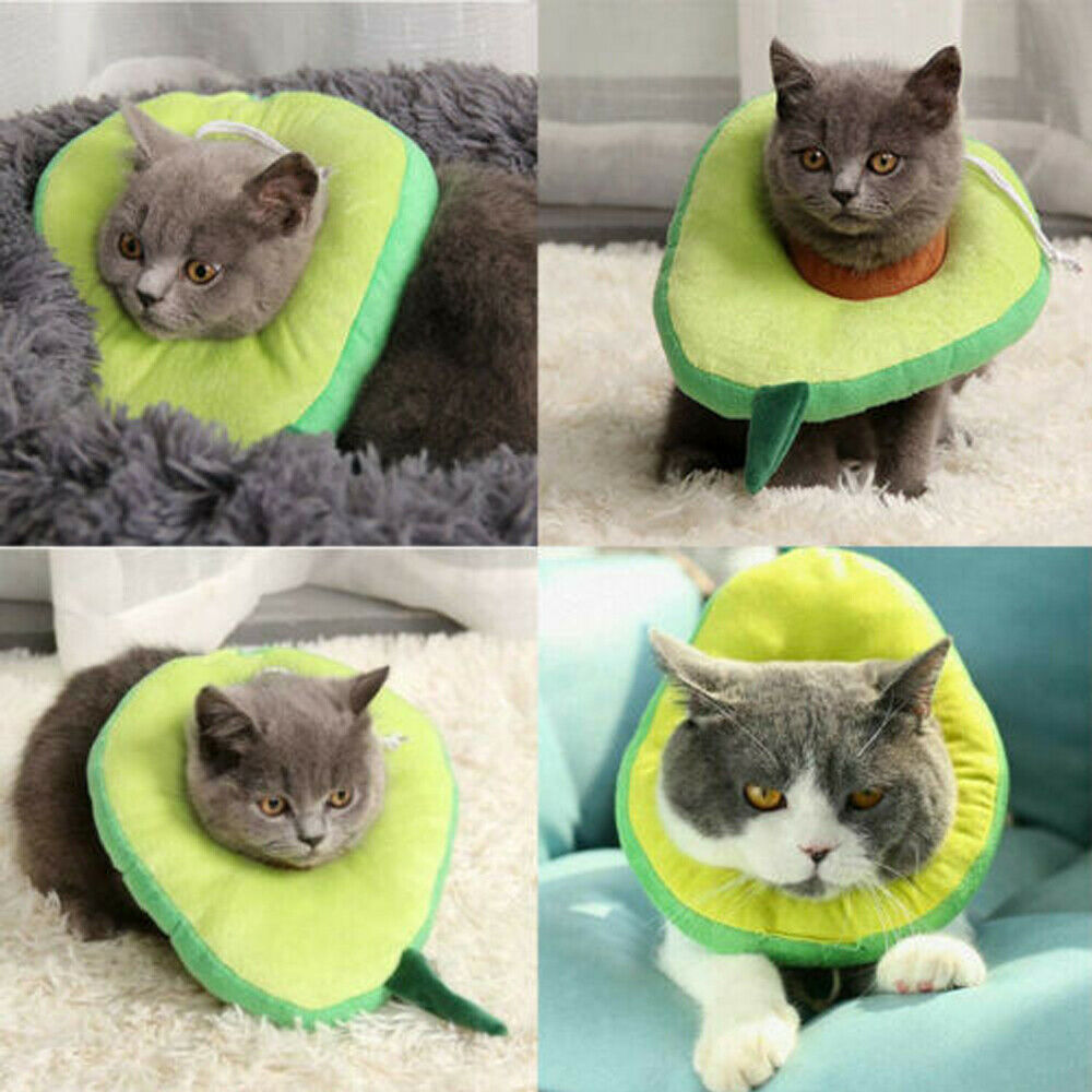 Adjustable Pet Neck Cone Recovery Pet Cat Recovery Collar Ca | Other