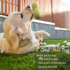 Funny Pet Dog Squeaky Toy For Small Middle Dogs Bite Resista | Electronic Learning Toys