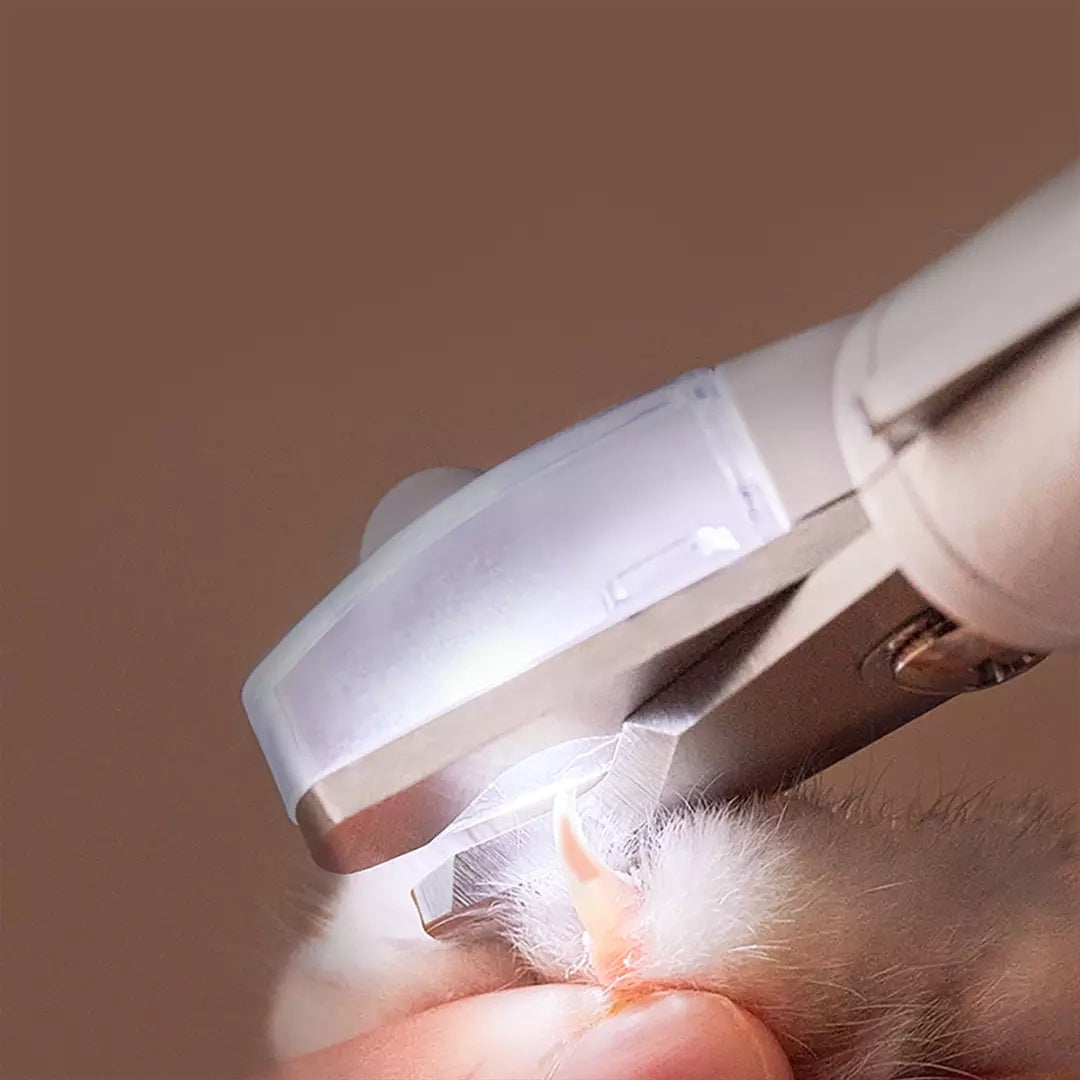 Professional Pet Nail Clipper Scissors Pet Dog Cat Nail Toe | Other