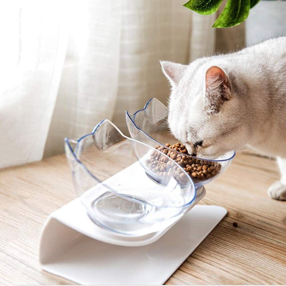 Non Slip Double Cat Bowl With Raised Stand Pet Food Cat Feed | Other