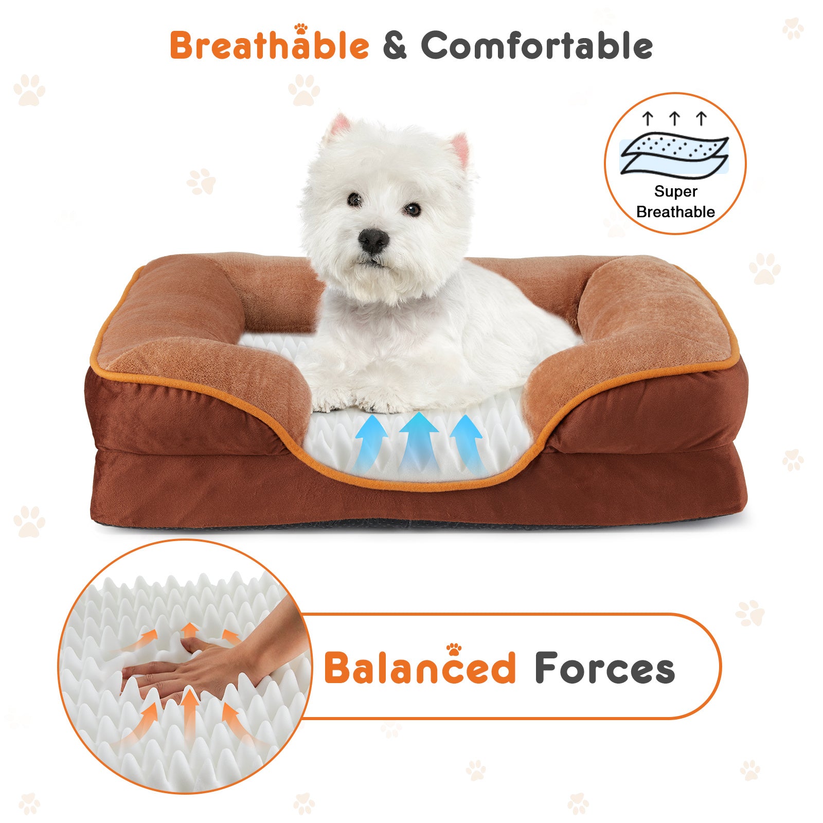 Memory Foam Pet Bed For Small Dogs & Cats With Washable Remo | Other