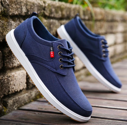 Men's Lace-up Canvas Shoes Casual Men Breathable Walking Fla | Shoes