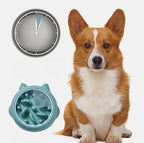 Pet Dog Cat Slow Feeder Bowls Anti Choking Slow Feeder Dish | Other