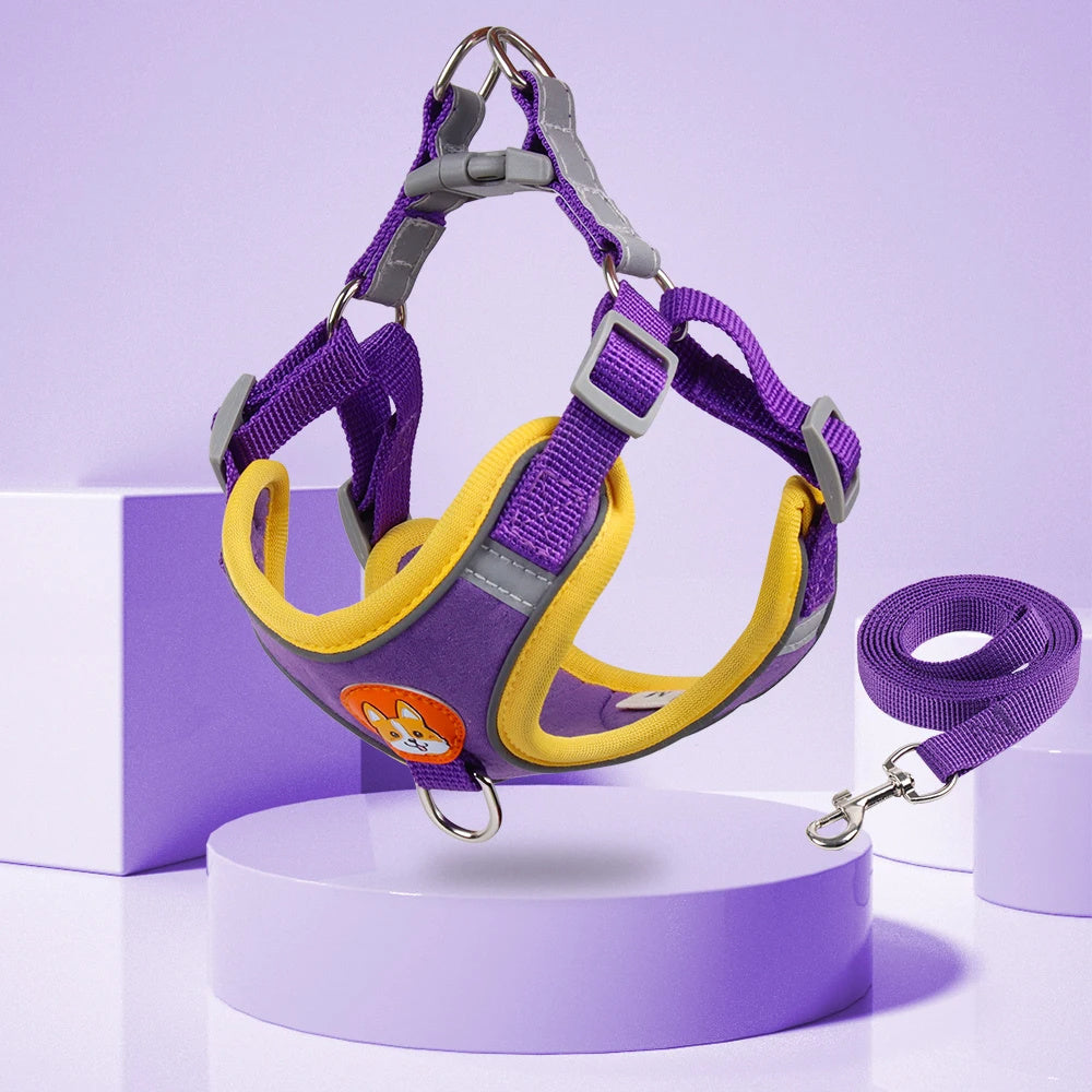 Dog Leash And Harness Set Pet Dog Harness And Leash Set | Other