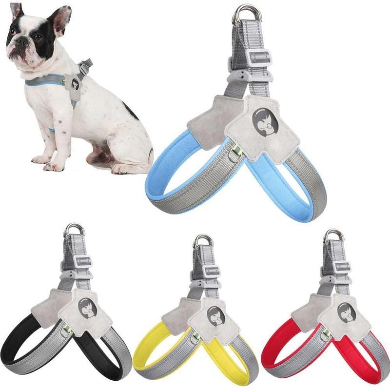 Pet Dog Cat Harness, Pet Harness With Leashset, Adjustable P | Other