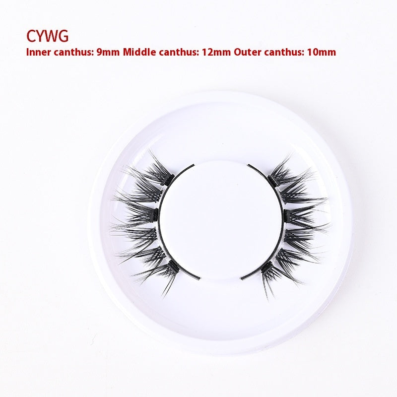 Magnetic Glue-free Three False Eyelashes Suit Collection Use | Other