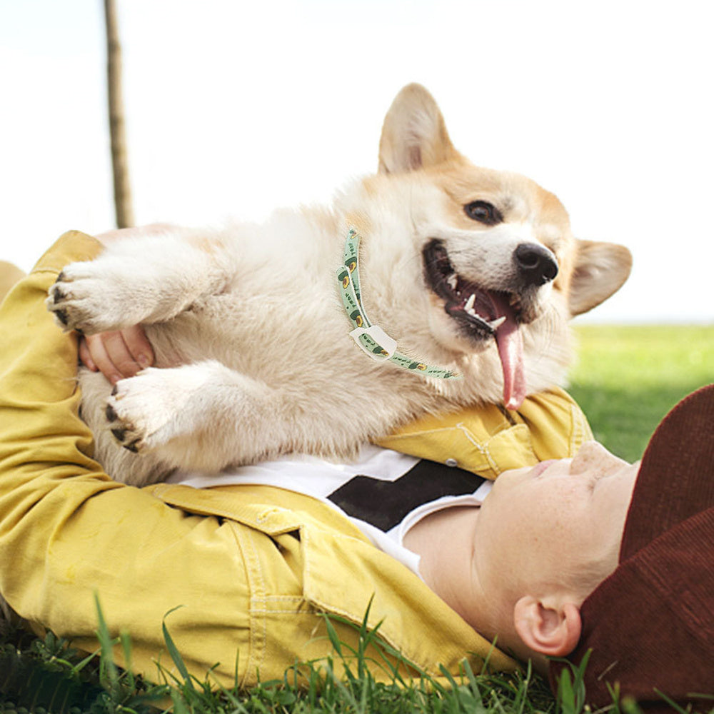 Pet Dog Repellent Collar, Cat Anti-flea Collar, Anti-lice Ex | Other